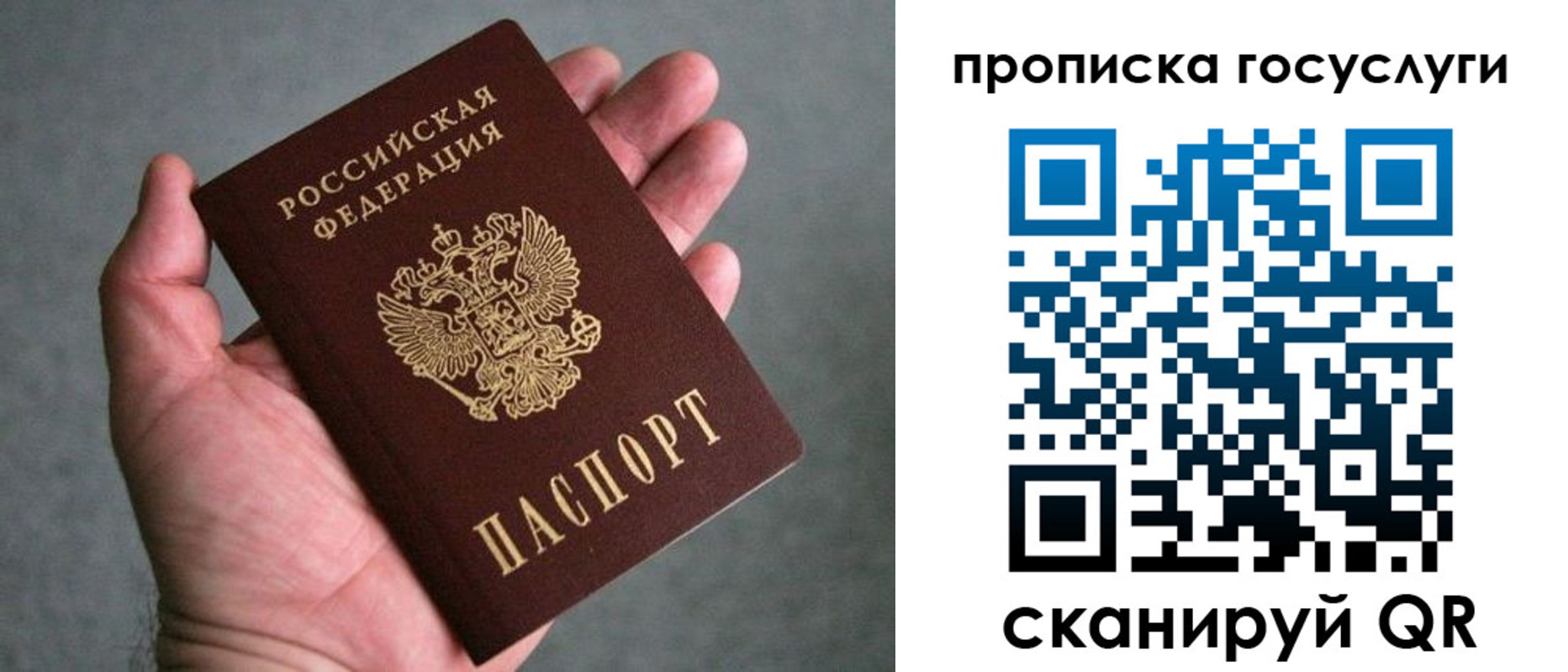 прописка 2025 в Ковдоре